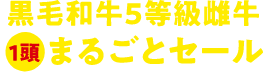 黒毛和牛5等級雌牛1頭まるごとセール