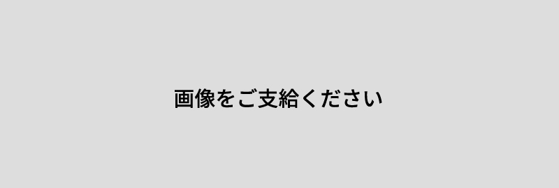 断面図