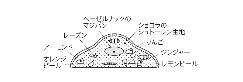 断面図