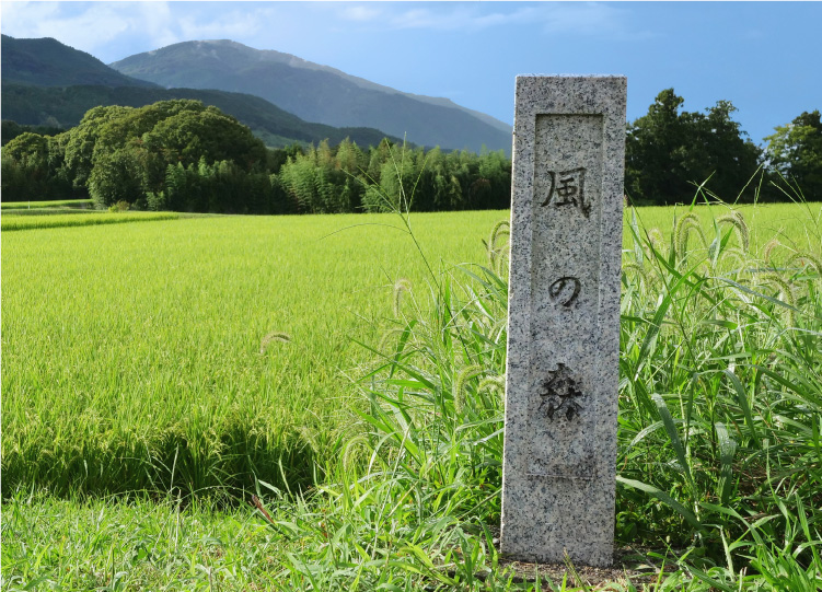 風の森とは