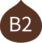 B2