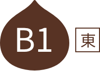 B1東