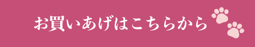 お買いあげはこちらから