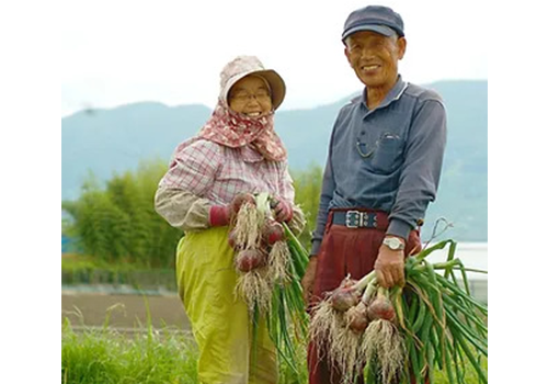 「里山のめぐみ 03野菜・くだもの」玉ねぎを持つご夫婦