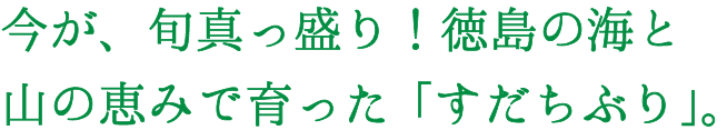 今が、旬真っ盛り！徳島の海と山の恵みで育った「すだちぶり」。