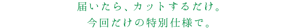 届いたら、カットするだけ。今回だけの特別仕様で。